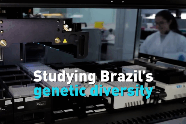 New Genetic Study Reveals Brazilâs Rich Diversity New Genetic Study Reveals Brazilâs Rich Diversity video poster