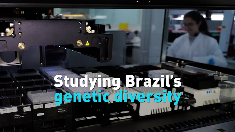 NLG42TKUVFI4DA06HLJQ - My Global News: Voices of a New Era New Genetic Study Reveals Brazil’s Rich Diversity video poster