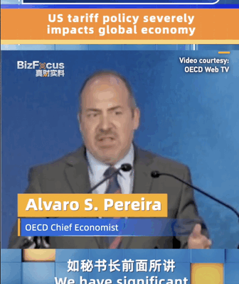 OECD Chief Economist: Soaring US Tariffs Shake Global Economy OECD_Chief_Economist__Soaring_US_Tariffs_Shake_Global_Economy video poster