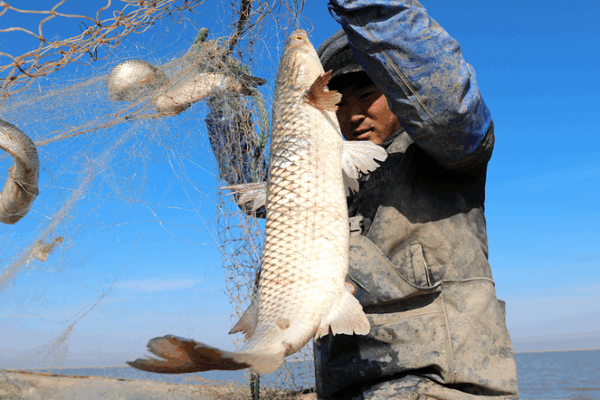 Ocean Life Unveiled: Fishing Traditions off the Chinese mainland Ocean_Life_Unveiled__Fishing_Traditions_off_the_Chinese_mainland