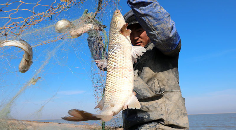 Ocean_Life_Unveiled__Fishing_Traditions_off_the_Chinese_mainland - My Global News: Voices of a New Era Ocean_Life_Unveiled__Fishing_Traditions_off_the_Chinese_mainland