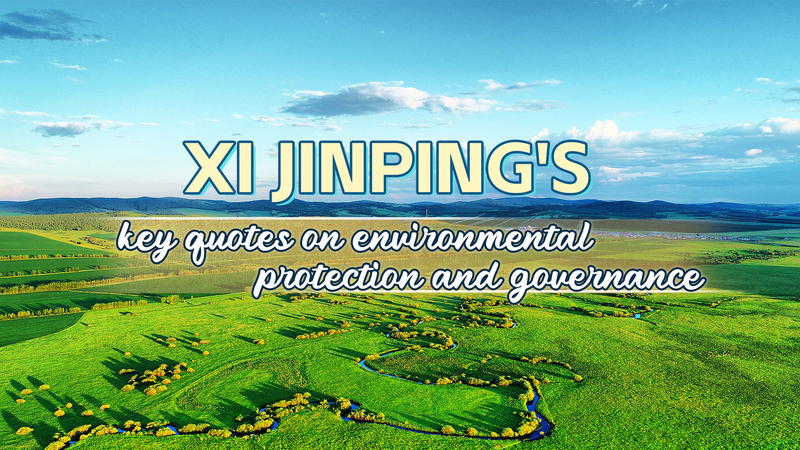President_Xi_s_Top_Quotes_on_Green_Development