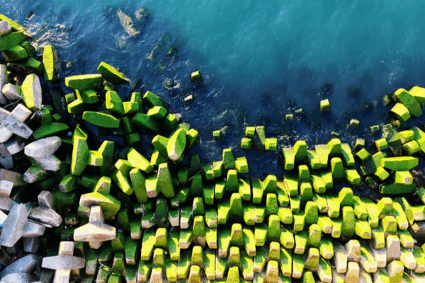 Qingdao Breakwater Blanketed in Vibrant Green Algae Qingdao_Breakwater_Blanketed_in_Vibrant_Green_Algae