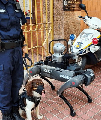 Real vs. Robotic: Police Dog Meets Patrol Robot at Gaokao Real_vs__Robotic__Police_Dog_Meets_Patrol_Robot_at_Gaokao video poster