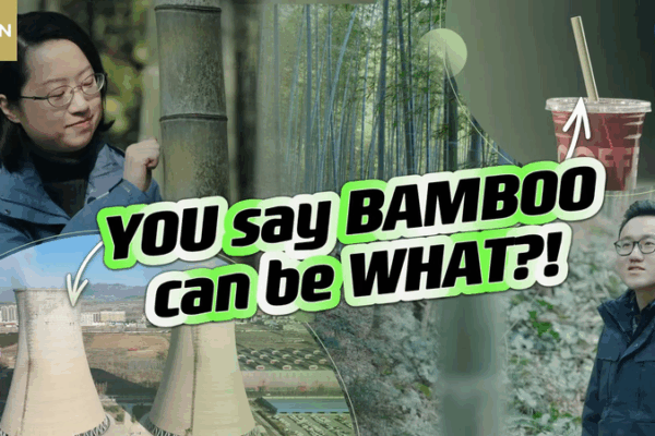 Replacing Plastic with Bamboo: The Chinese Mainland’s Answer to a Global Crisis Replacing_Plastic_with_Bamboo__The_Chinese_Mainland_s_Answer_to_a_Global_Crisis video poster