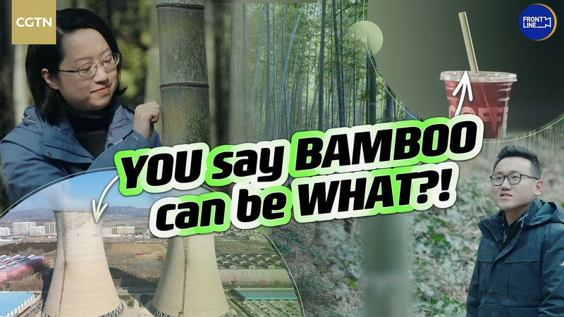 Replacing_Plastic_with_Bamboo__The_Chinese_Mainland_s_Answer_to_a_Global_Crisis_poster - My Global News: Voices of a New Era Replacing_Plastic_with_Bamboo__The_Chinese_Mainland_s_Answer_to_a_Global_Crisis video poster