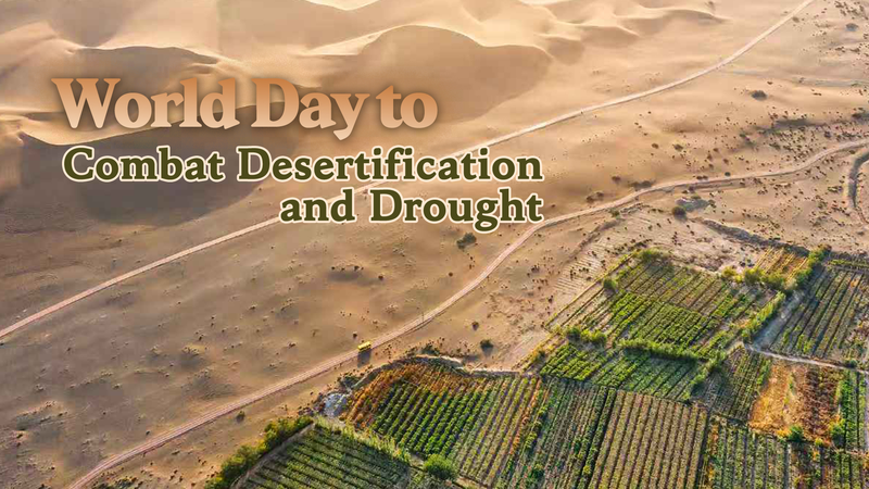 Restore the Land, Unlock Opportunities: World Day to Combat Desertification 2025 Restore_the_Land__Unlock_Opportunities__World_Day_to_Combat_Desertification_2025