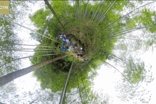 Sweat It Out: Bamboo Forest Trail Run in Anji for World Environment Day Sweat_It_Out__Bamboo_Forest_Trail_Run_in_Anji_for_World_Environment_Day video poster