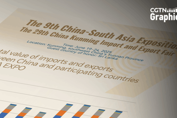 Trade between the Chinese mainland and South Asia tops $200B Trade_between_the_Chinese_mainland_and_South_Asia_tops__200B