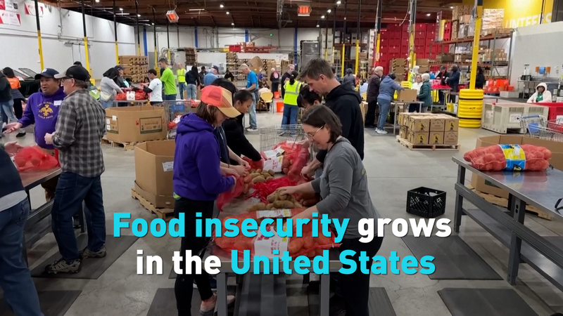 U.S. Food Insecurity Surges Amid Inflation and Aid Cuts U_S__Food_Insecurity_Surges_Amid_Inflation_and_Aid_Cuts video poster