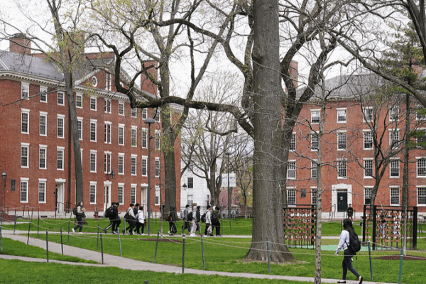 U.S. Judge Clears Path for Harvard to Host 7,000 Foreign Students U_S__Judge_Clears_Path_for_Harvard_to_Host_7_000_Foreign_Students
