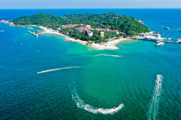 Underwater Wonders: Coral Comeback at Wuzhizhou Island’s Marine Ranch Underwater_Wonders__Coral_Comeback_at_Wuzhizhou_Island_s_Marine_Ranch video poster