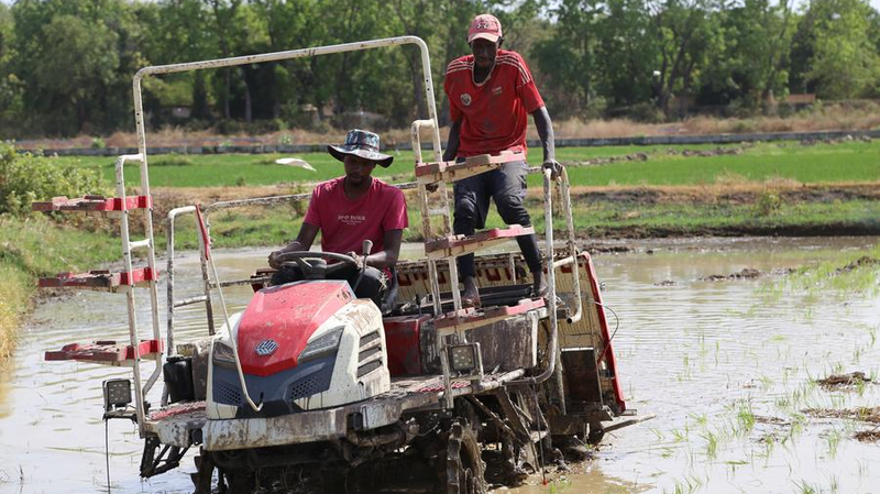 Wang_Yi_Urges_More_China_Africa_Cooperation_Success_Stories - My Global News: Voices of a New Era Wang_Yi_Urges_More_China_Africa_Cooperation_Success_Stories