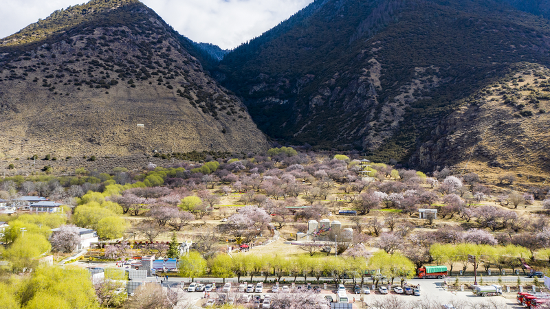 Xi Jinping Champions Ethnic Solidarity in Xizang Village Xi_Jinping_Champions_Ethnic_Solidarity_in_Xizang_Village