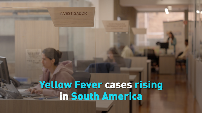 Yellow_Fever_Cases_Surge_in_South_America__CDC_Issues_Travel_Alert_poster - My Global News: Voices of a New Era Yellow_Fever_Cases_Surge_in_South_America__CDC_Issues_Travel_Alert video poster