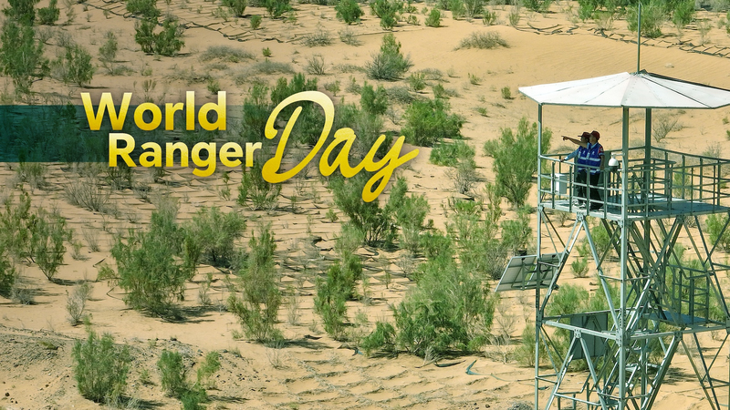 Ecological Rangers Guard Chinese Mainland’s Natural Heritage on World Ranger Day Ecological Rangers Guard Chinese Mainland’s Natural Heritage on World Ranger Day