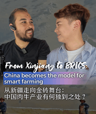 Xinjiang to BRICS: China’s Smart Farming Model Goes Global Xinjiang to BRICS: China’s Smart Farming Model Goes Global video poster