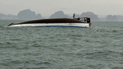 3 Dead, Dozens Rescued After Cruise Ship Capsizes in Ha Long Bay 3_Dead__Dozens_Rescued_After_Cruise_Ship_Capsizes_in_Ha_Long_Bay