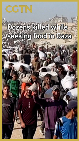48 Killed While Waiting for Aid in Gaza 48_Killed_While_Waiting_for_Aid_in_Gaza video poster