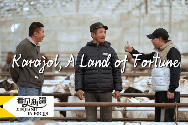 Karajol’s Culinary Goldmine: Turning Xinjiang Lamb into E-commerce Success Karajol’s Culinary Goldmine: Turning Xinjiang Lamb into E-commerce Success video poster