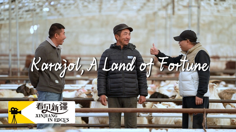 7PT4N77CRNWRT06KX93C - My Global News: Voices of a New Era Karajol’s Culinary Goldmine: Turning Xinjiang Lamb into E-commerce Success video poster