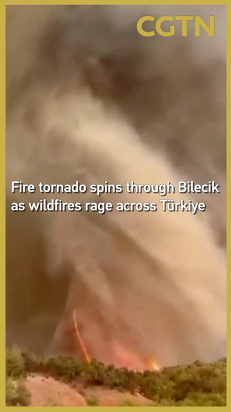 9C2L56AKLY313QJRRQSX - My Global News: Voices of a New Era Fire Tornado Erupts in Bilecik Amid Türkiye’s Raging Wildfires video poster