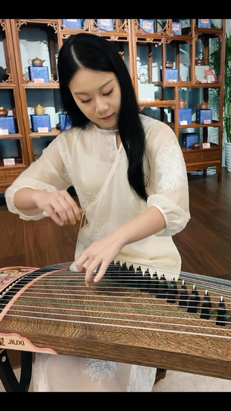 Immersive Guzheng Journey at the Bird’s Nest Art Festival Immersive Guzheng Journey at the Bird’s Nest Art Festival video poster