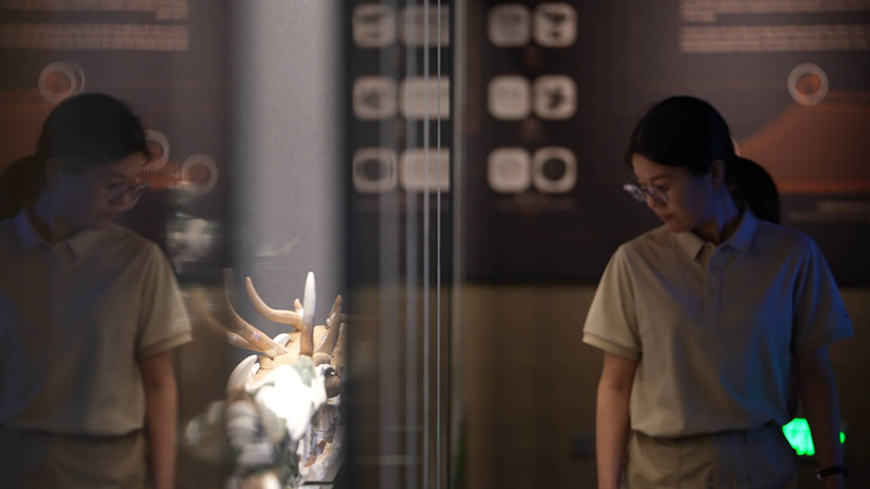 Unearthing China’s 'Oriental Pyramids': Secrets of the Tangut Empire video poster