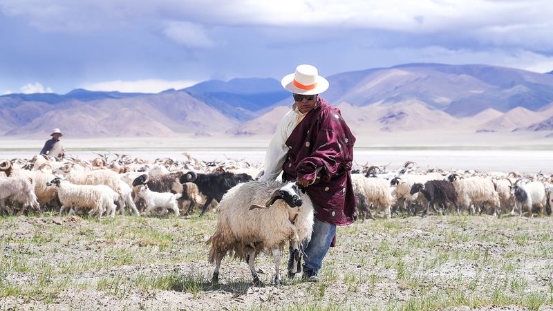 Ancient_Salt_and_Sheep_Route_in_Ngari__Xizang_Sparks_Cultural_and_Economic_Revival