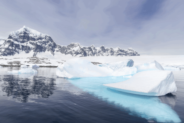 Antarctic Sea Ice Retreats at Record Speeds, Threatening Wildlife and Climate Antarctic_Sea_Ice_Retreats_at_Record_Speeds__Threatening_Wildlife_and_Climate
