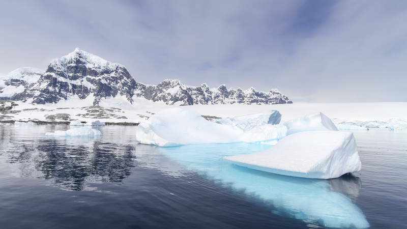 Antarctic_Sea_Ice_Retreats_at_Record_Speeds__Threatening_Wildlife_and_Climate
