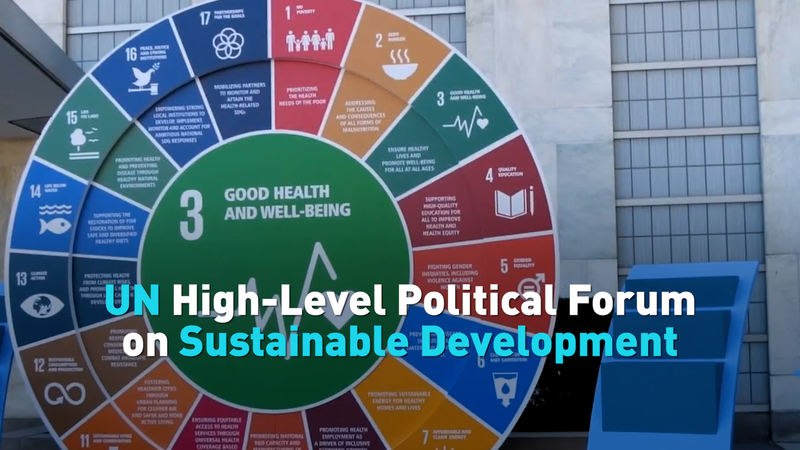Assessing_Global_Progress_at_the_UN_High_Level_Political_Forum_on_SDGs video poster