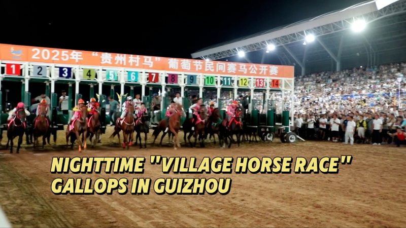 Guizhou’s Nighttime Village Horse Race Lights Up Tradition Guizhou’s Nighttime Village Horse Race Lights Up Tradition video poster