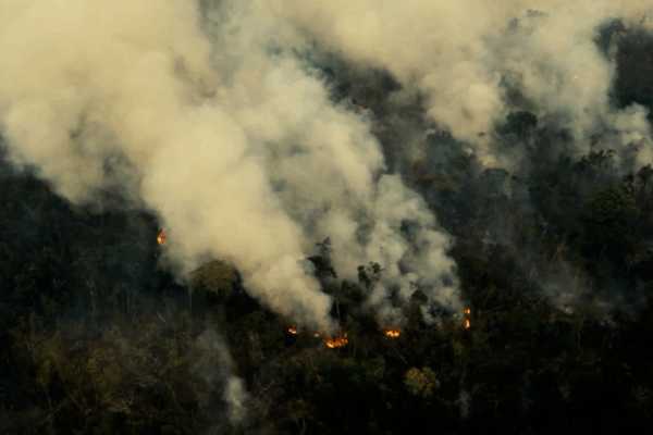 Brazil’s New Bill Risks Speeding Up Amazon Deforestation Brazil_s_New_Bill_Risks_Speeding_Up_Amazon_Deforestation video poster