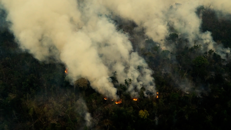 Brazil_s_New_Bill_Risks_Speeding_Up_Amazon_Deforestation_poster - My Global News: Voices of a New Era Brazil_s_New_Bill_Risks_Speeding_Up_Amazon_Deforestation video poster