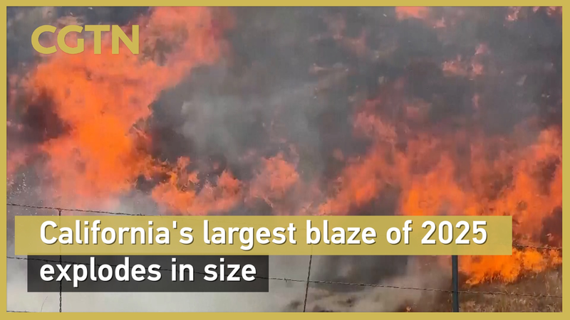 California’s Largest 2025 Wildfire Surges in Central Wilderness California’s Largest 2025 Wildfire Surges in Central Wilderness video poster