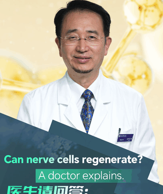 Can Nerve Cells Regenerate? Doctor on Stress and Neuron Health Can_Nerve_Cells_Regenerate__Doctor_on_Stress_and_Neuron_Health video poster