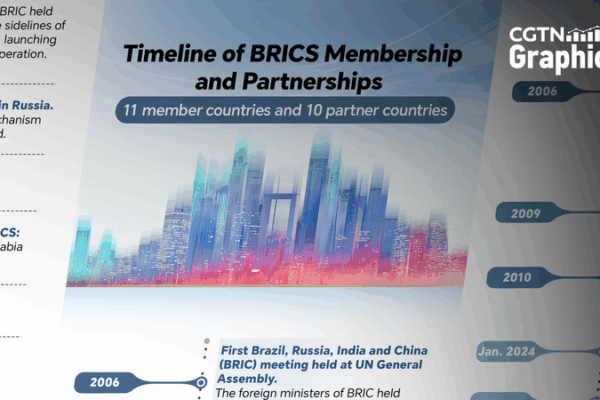 Charting BRICS Growth Ahead of the 17th Summit in Rio Charting_BRICS_Growth_Ahead_of_the_17th_Summit_in_Rio