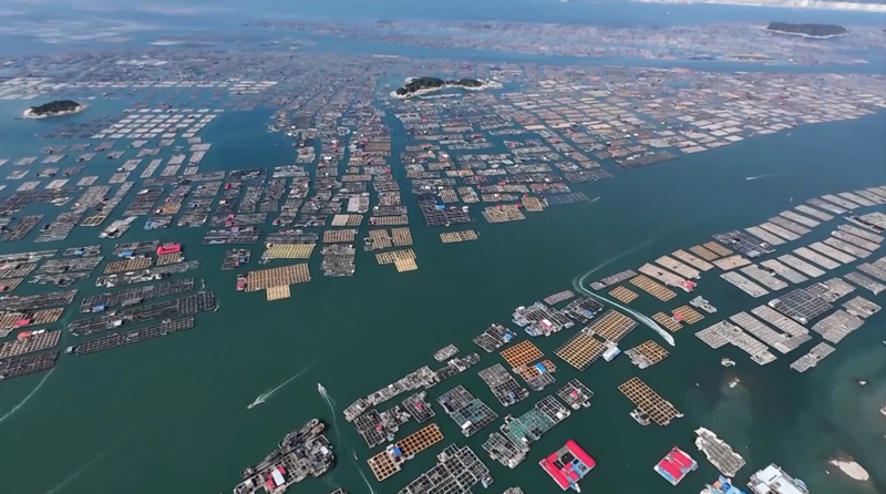 China Activates Level IV Response as Typhoon Danas Looms China_Activates_Level_IV_Response_as_Typhoon_Danas_Looms