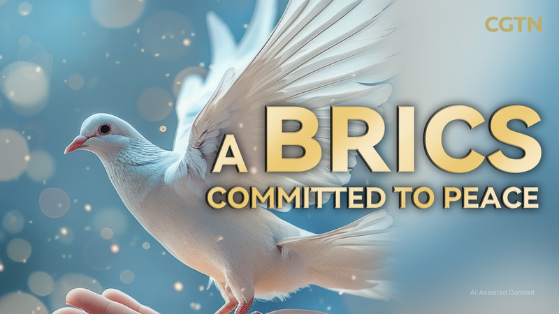 China_Calls_for_a_Peace_Driven_BRICS_Alliance video poster