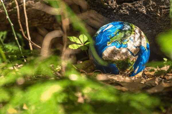 China-EU Summit: 7-Point Climate Pact to Power Global Green Shift China_EU_Summit__7_Point_Climate_Pact_to_Power_Global_Green_Shift