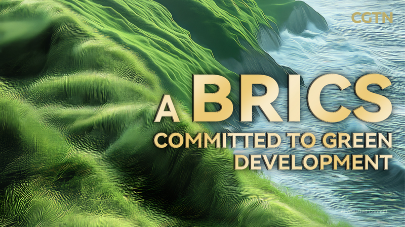 China_Urges_BRICS_to_Champion_Green_Development video poster