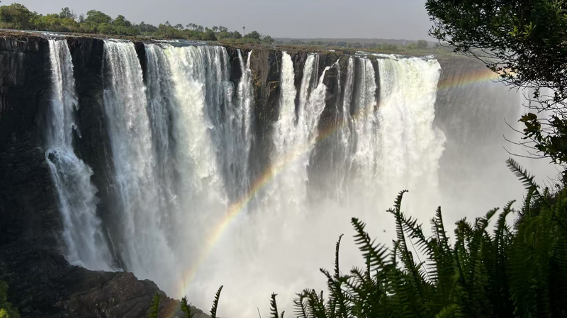 China_and_Africa_Unite_to_Protect_Global_Wetlands_at_COP15 - My Global News: Voices of a New Era China_and_Africa_Unite_to_Protect_Global_Wetlands_at_COP15