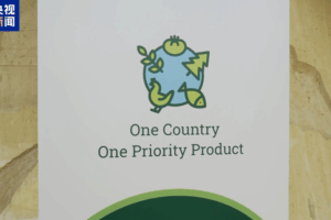 China_s_Green_Farming_Drives_Crop_Success_in_Developing_Nations
