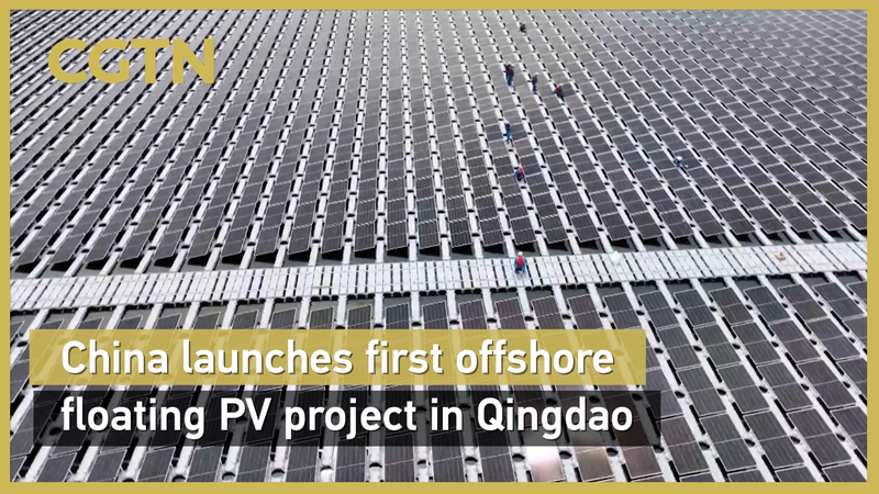Chinese mainland launches first offshore floating solar farm in Qingdao Chinese_mainland_launches_first_offshore_floating_solar_farm_in_Qingdao video poster