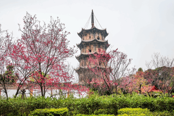Echoes of Confucius: Dialogue That Shaped the Silk Roads Echoes_of_Confucius__Dialogue_That_Shaped_the_Silk_Roads