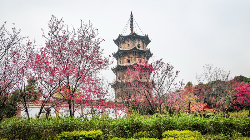 Echoes_of_Confucius__Dialogue_That_Shaped_the_Silk_Roads