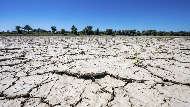 Entering_a_New_Era_of_Drought__UNCCD_Warns_of_Global_Risks - My Global News: Voices of a New Era Entering_a_New_Era_of_Drought__UNCCD_Warns_of_Global_Risks