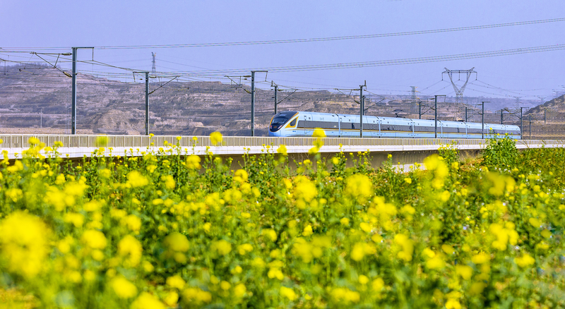 From_Battlefields_to_High_Speed_Revival__The_Railway_Transformation - My Global News: Voices of a New Era From_Battlefields_to_High_Speed_Revival__The_Railway_Transformation