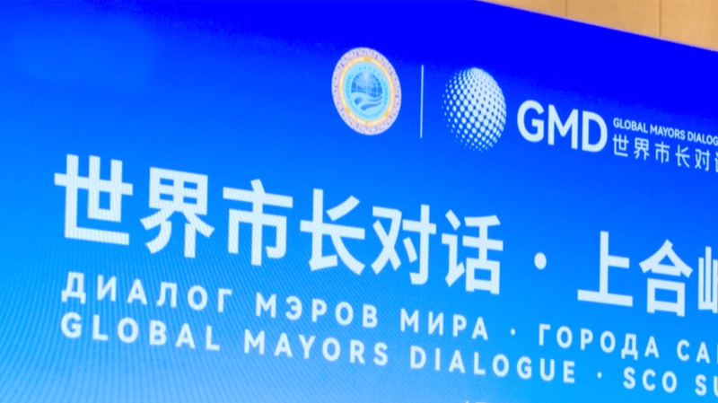 Global_Mayors_Dialogue_in_Tianjin__SCO_Cities_Deepen_Cooperation video poster